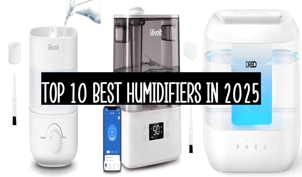 Top 10 Best Humidifiers In 2025